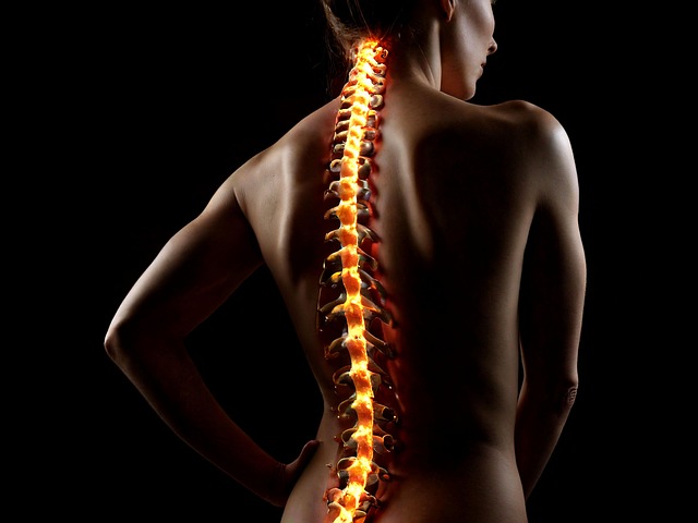 therapy, body therapy, mind therapy