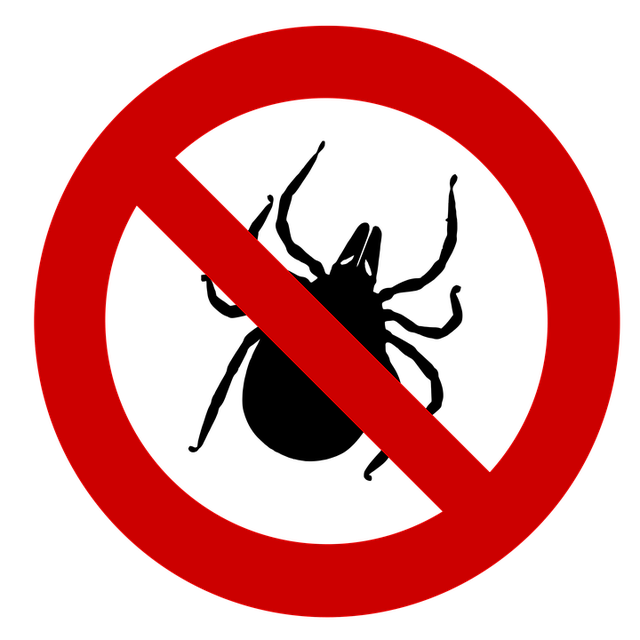 tick-ticks-640x480-2833645.png