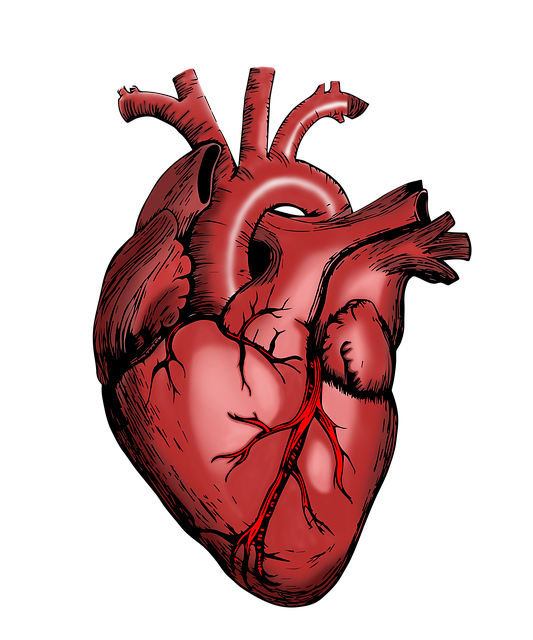 treatment, medicine, hospital, patience, surgery, surgeon, therapy
