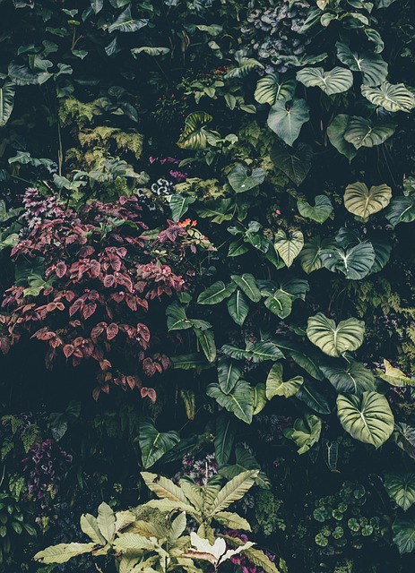 Mastering Shrub Maintenance Pruning for Healthy Plants