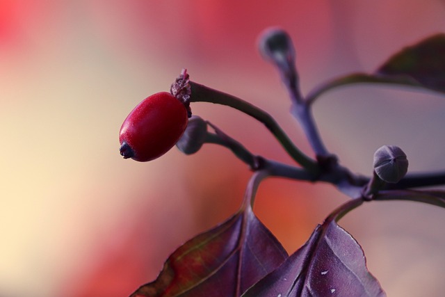 Tailored Pruning Plans: Optimizing Plant Health Care