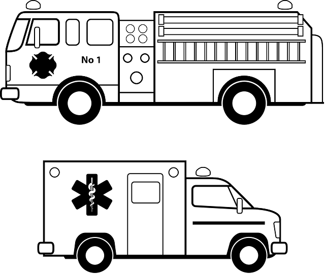 truck, trucking, truck driver