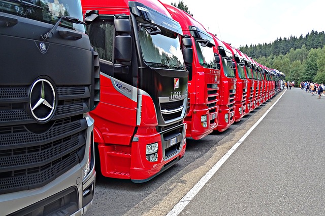 truck, trucking, truck driver