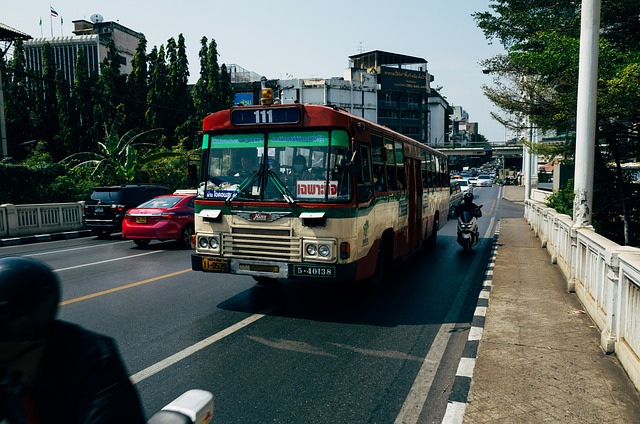 Protecting New Drivers: Comprehensive Insurance for Risk Mitigation