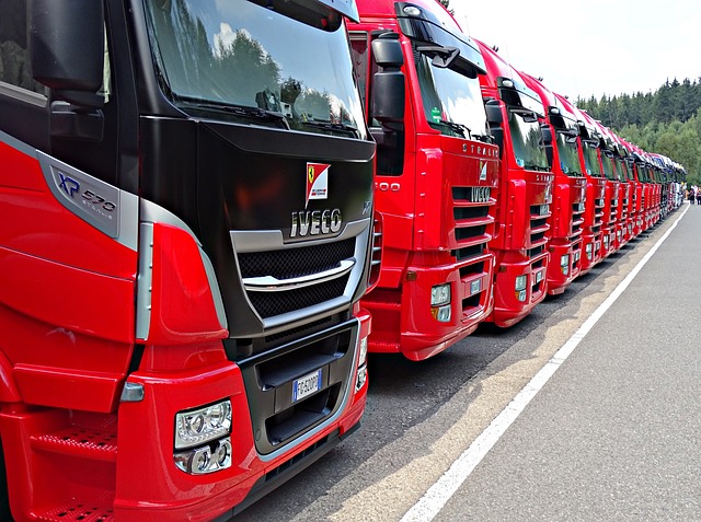 truck, trucking, truck driver