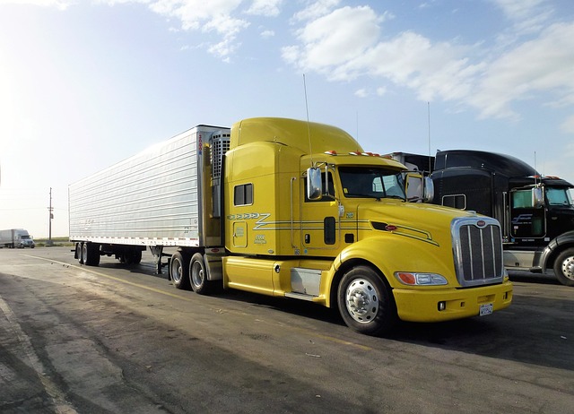 Fortifying Fleets: Physical Damage Policies for Unwavering Resilience