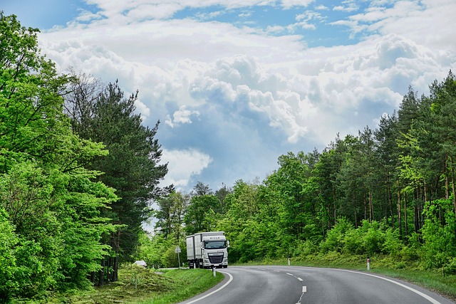 truck, trucking, truck driver