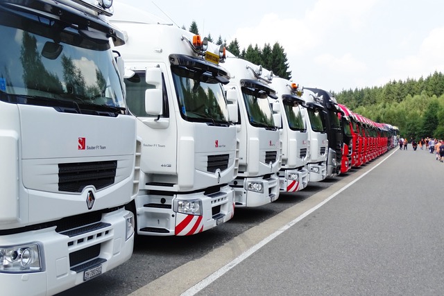 truck, trucking, truck driver