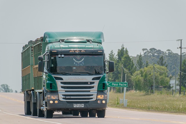 Affordable Trucking Insurance: Tailored Protection for Independent Drivers