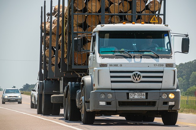 truck, trucking, truck driver