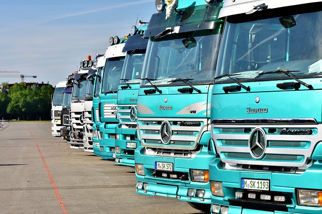 truck, trucking, truck driver