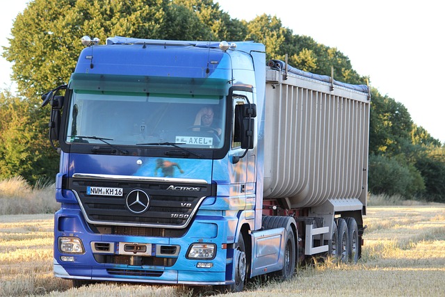 truck, trucking, truck driver