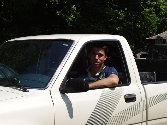 truck, trucking, truck driver