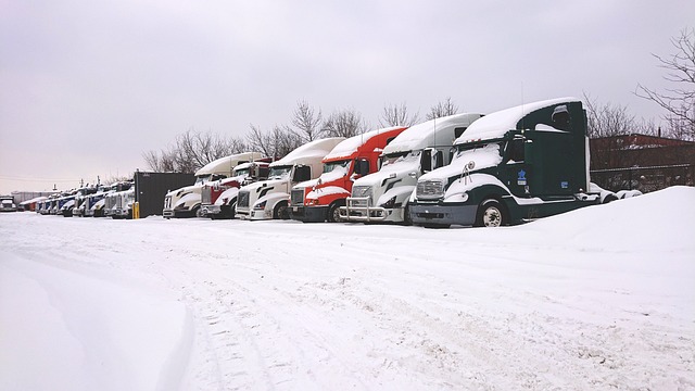 truck, trucking, truck driver