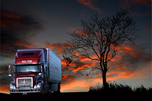truck, trucking, truck driver