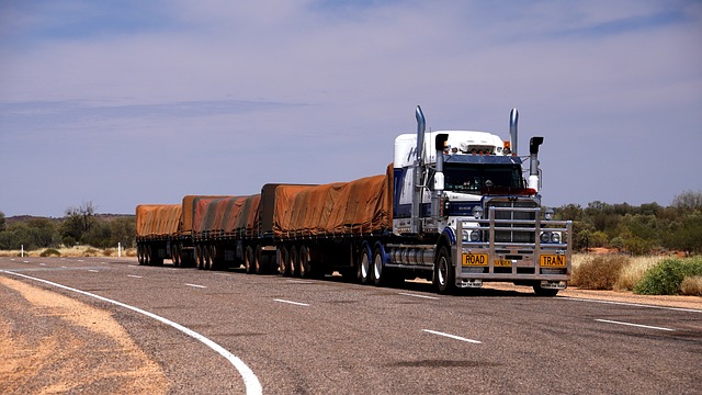 truck, trucking, truck driver