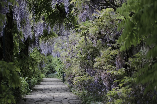 walkway
