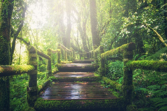 walkway, pathway