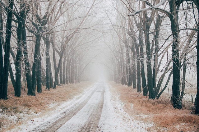 walkway, pathway