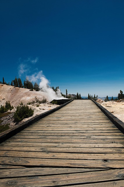 walkway, pathway