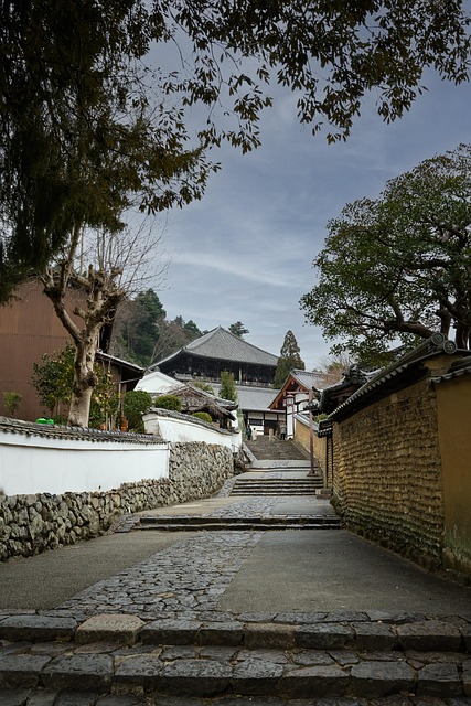 walkway, pathway
