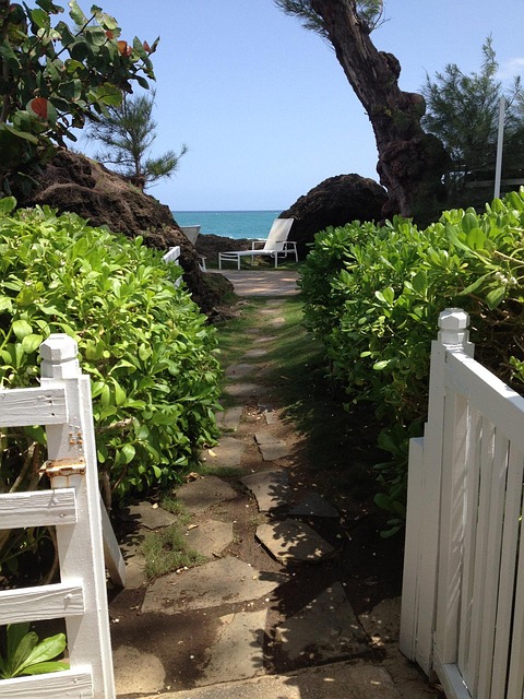 walkway-pathway-640x480-2145883.jpeg