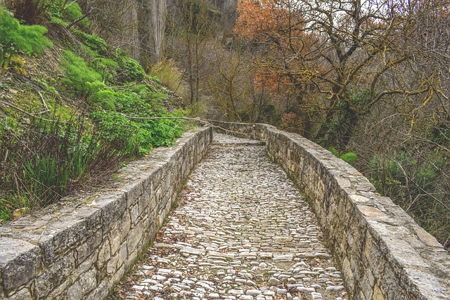 walkway, pathway