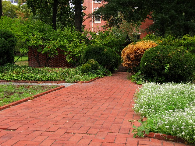 Transform Yards with Custom Walkway Solutions & Stunning Garden Paths Design