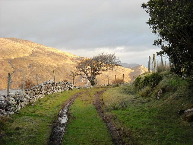 walkway-pathway-640x480-30540772.jpeg