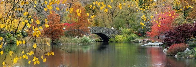walkway, pathway
