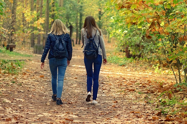 walkway, pathway