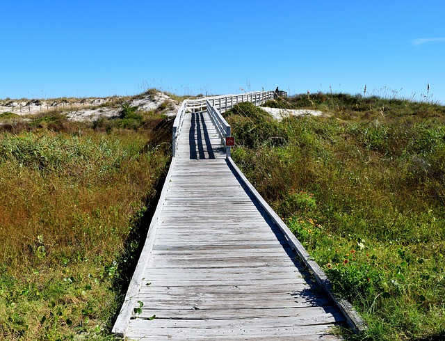 Transform Your Garden with Stunning Natural Stone Pathways