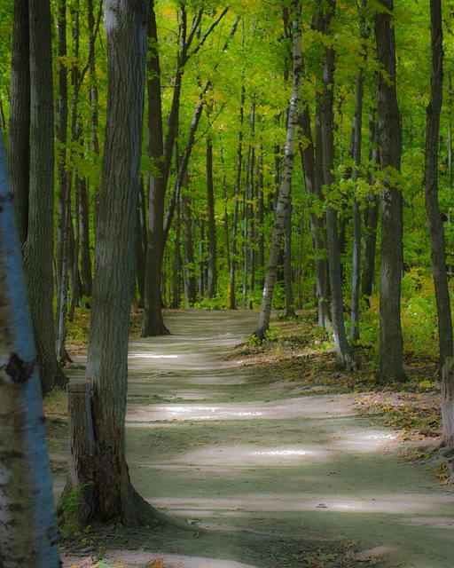 walkway, pathway