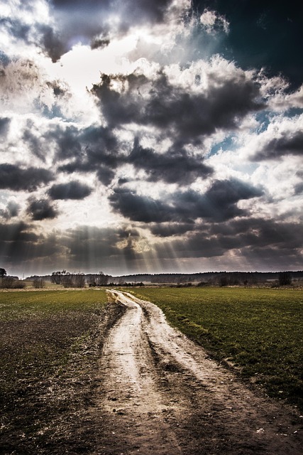 walkway-pathway-640x480-48163584.jpeg