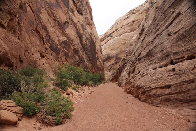 walkway, pathway