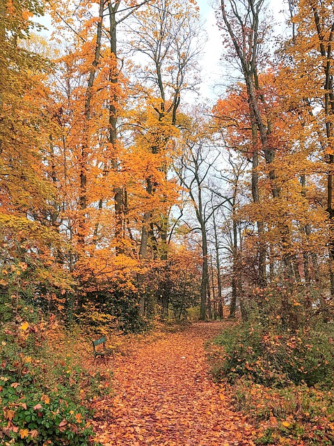 walkway, pathway