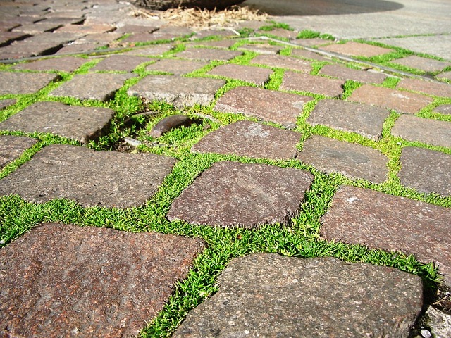 walkway, pathway