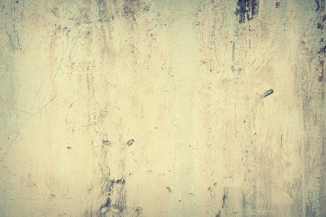 wall-640x480-33406320.jpeg