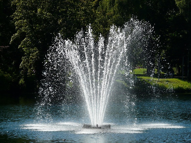 water feature