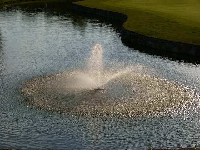 water feature