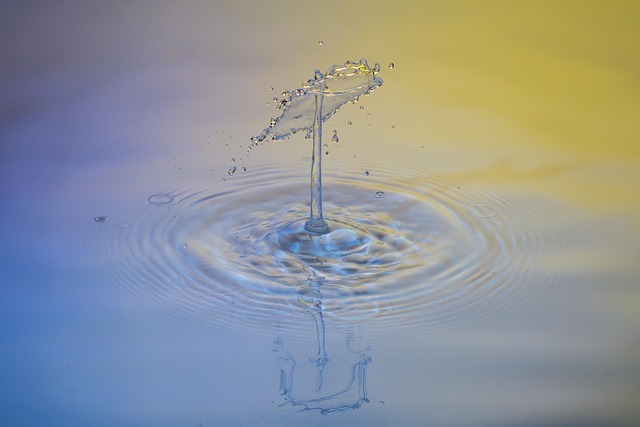 water feature, landscaping