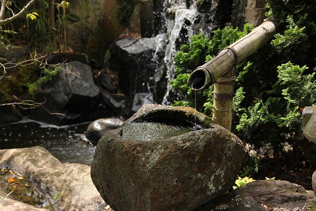 Durable Water Features: Choosing Eco-Friendly Materials for Longevity