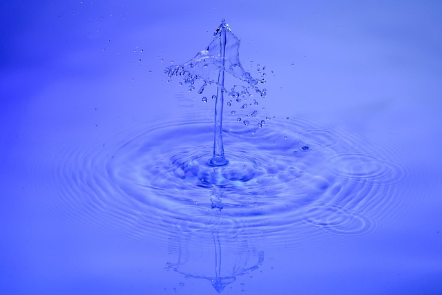 water feature, landscaping