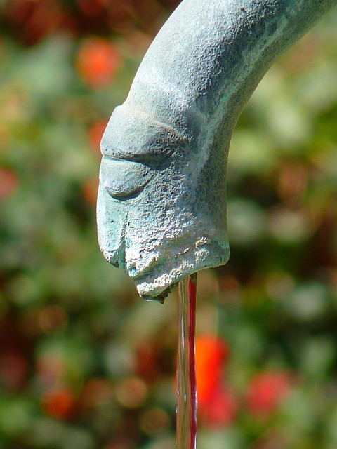 water feature, landscaping