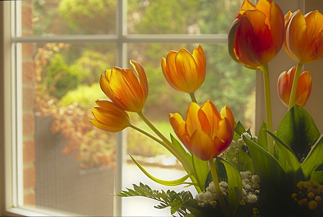 window-640x480-74929623.jpeg