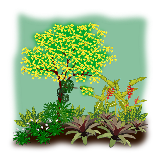 yard, landscaping