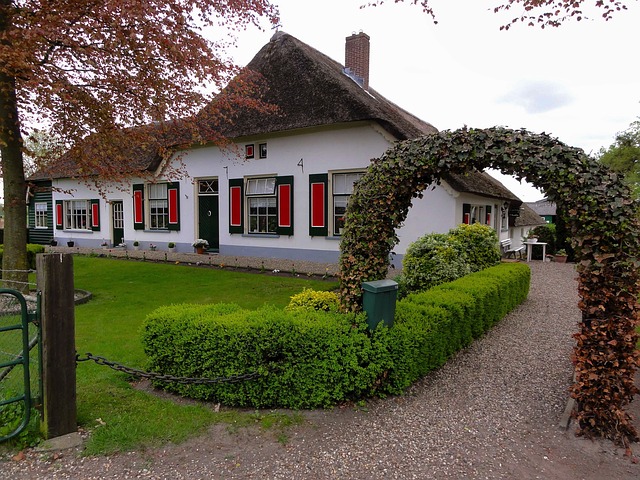 yard-landscaping-640x480-98593135.jpeg