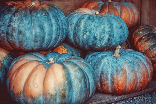 Yard Waste Recycling: Transforming Trash into Treasure for Gardeners
