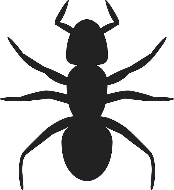 ant-640x480-24582648.png