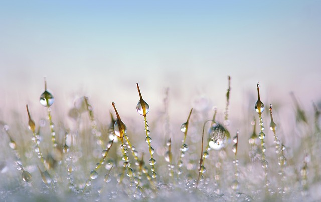 artificial grass